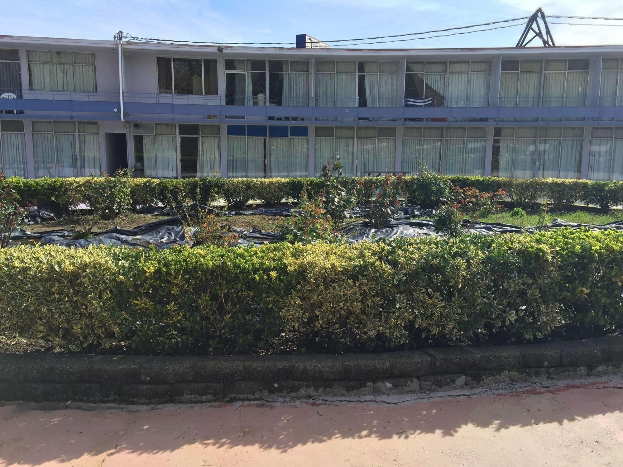 Budget Inn Albany Exterior foto